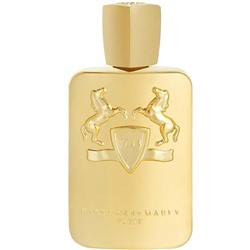 Мужская парфюмерия   Parfums de Marly Godolphin for men 125 ml