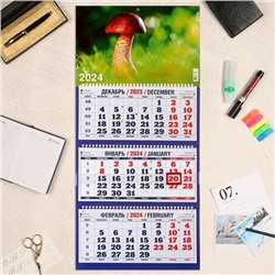 Календарь квартальный, трио "Природа - 17" 2024 год, 31х69см