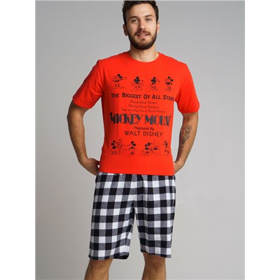 Комплект для мужчин: фуфайка (футболка) трикотажная, шорты текстильные