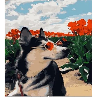 Картина по номерам "Собака в очках" 50х40см (Собака в очках)