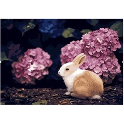 Картина по номерам "Гортензии и кролик" 50х40см (Гортензии и кролик)