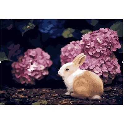 Картина по номерам "Гортензии и кролик" 50х40см (Гортензии и кролик)