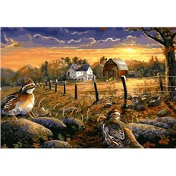 Картина по номерам "Лесные птицы" 50х40см (Лесные птицы)