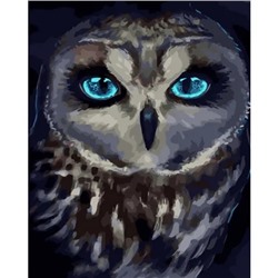 Картина по номерам "Голубоглазая сова" 50х40см (Голубоглазая сова)