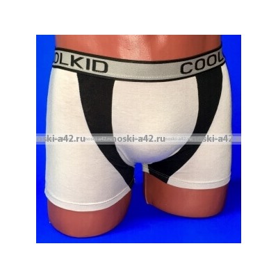 Подростковые трусы-боксеры для мальчиков COOL KID арт. 694 (693,6963)