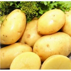 Картофель Танай (среднеранний. мякоть желтая)  мас 5 кг Ирк *