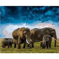 Картина по номерам "Слоны" 50х40см (Слоны)