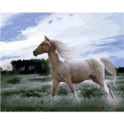 Картина по номерам "Белая лошадь" 50х40см (Белая лошадь)